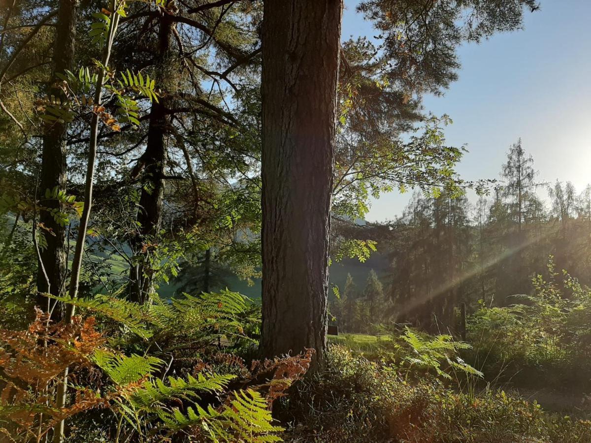 Bio-Bauernhof Hatzbauer Maria Alm am Steinernen Meer Exterior foto