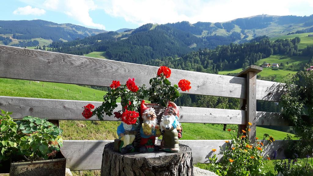 Bio-Bauernhof Hatzbauer Maria Alm am Steinernen Meer Exterior foto
