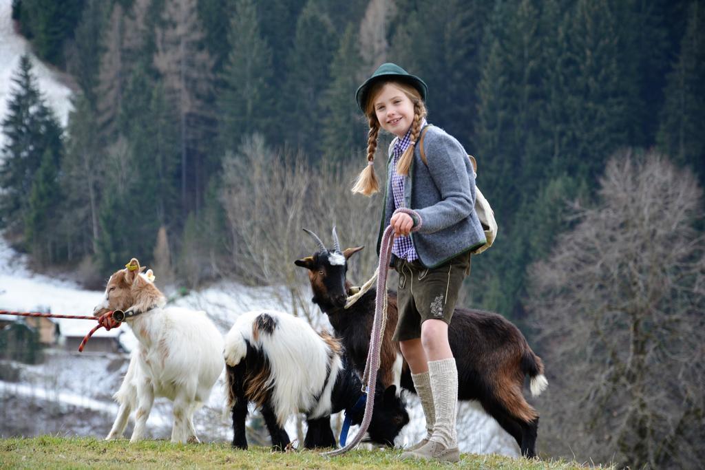 Bio-Bauernhof Hatzbauer Maria Alm am Steinernen Meer Exterior foto