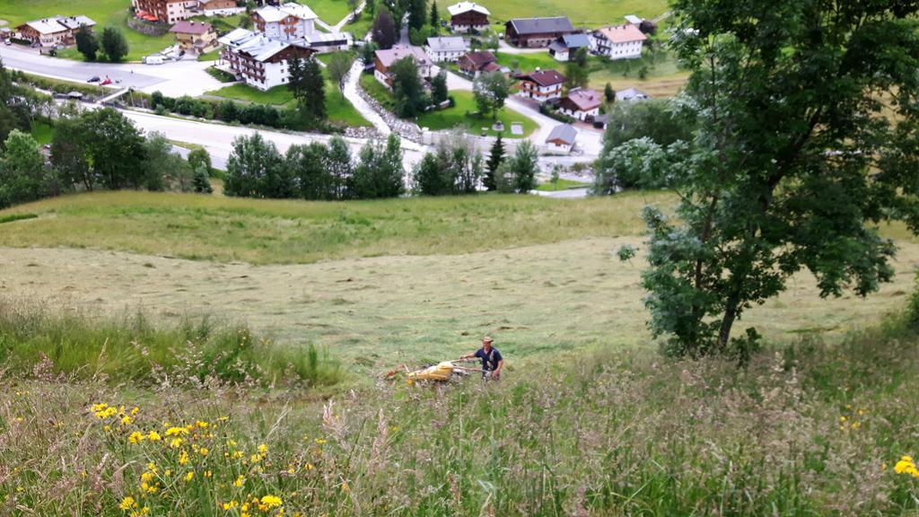 Bio-Bauernhof Hatzbauer Maria Alm am Steinernen Meer Exterior foto
