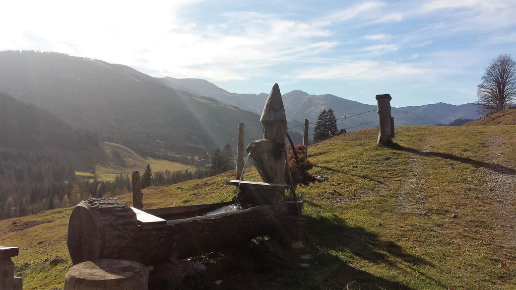 Bio-Bauernhof Hatzbauer Maria Alm am Steinernen Meer Exterior foto